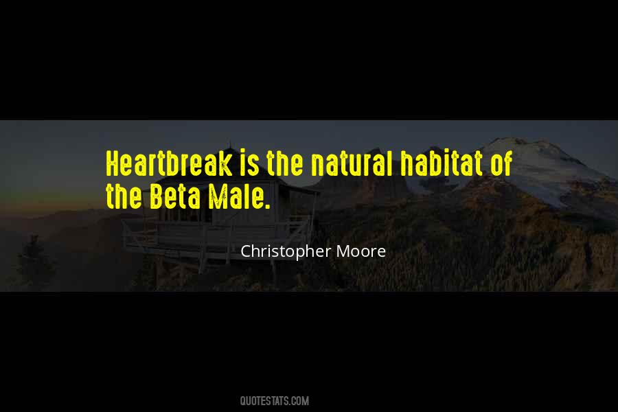 Beta Male Quotes #254665