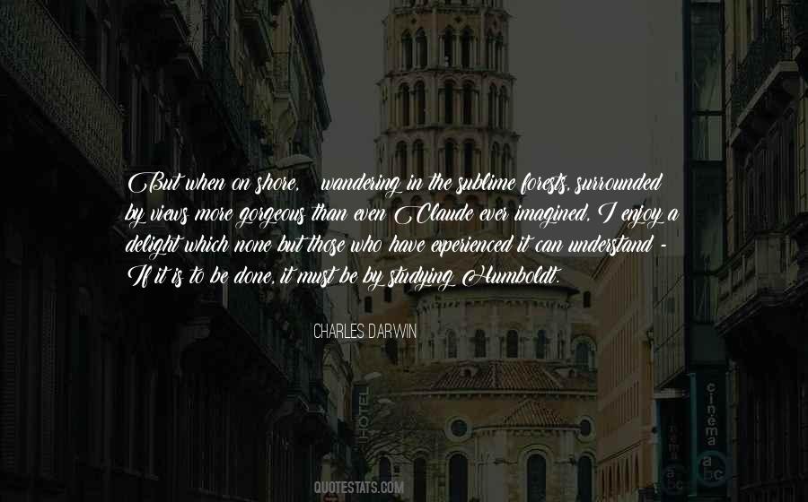 On The Sublime Quotes #1099261