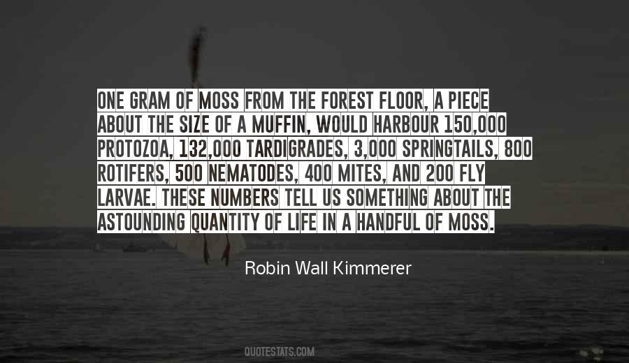 Forest Floor Quotes #391186