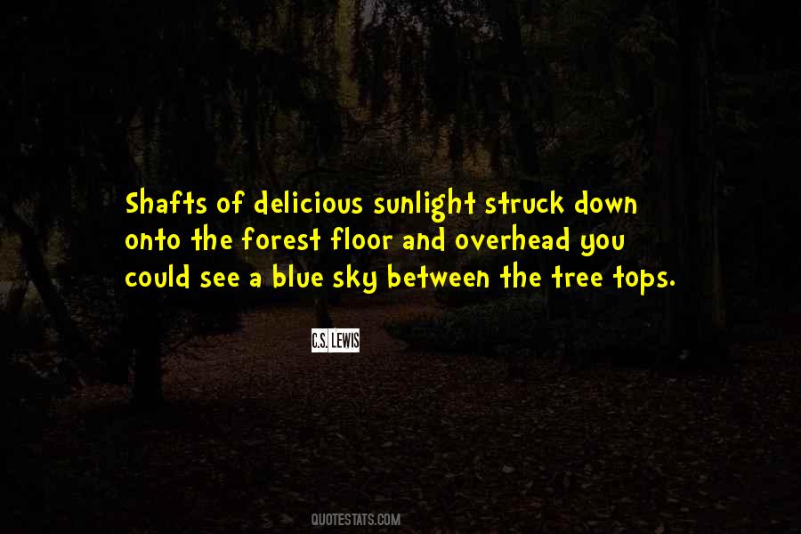 Forest Floor Quotes #678197