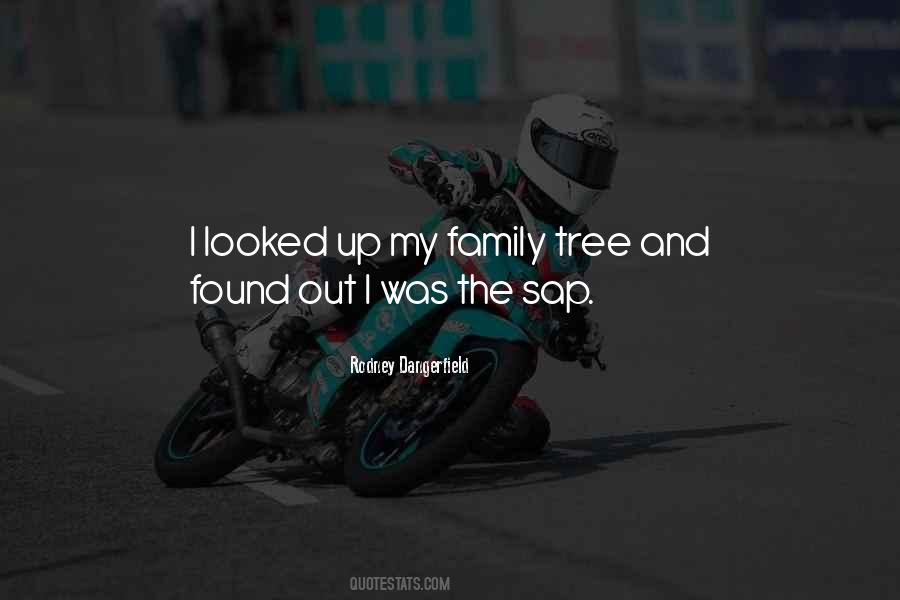 Family Out Quotes #203284