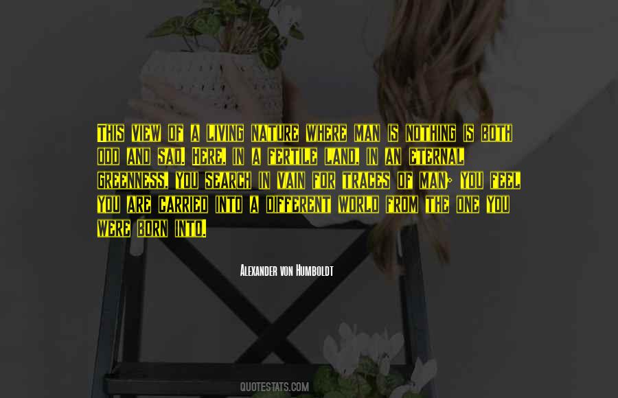 You And The View Quotes #413286
