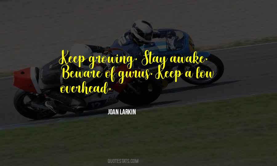 Stay Low Quotes #236658