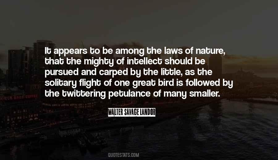 Great Bird Quotes #974790