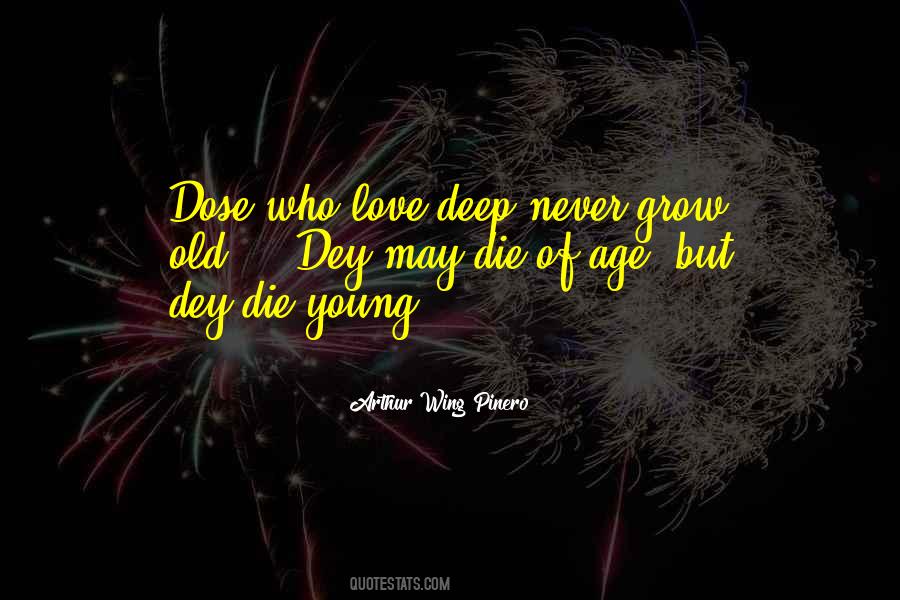 Love Will Never Grow Old Quotes #35750