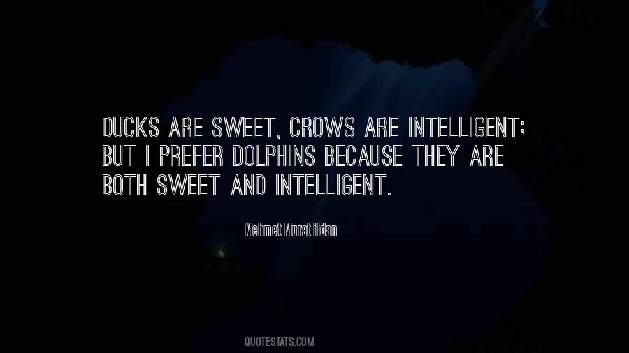 Sweet Intelligent Quotes #1517894