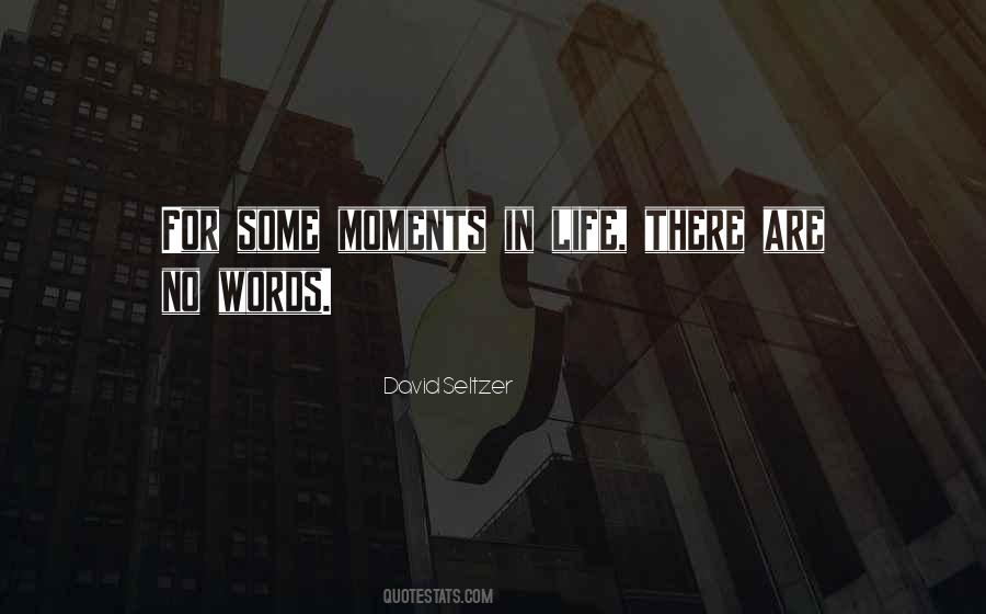 There Are Some Moments In Life Quotes #234732