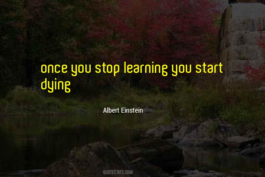 Once You Stop Learning You Start Dying Quotes #530126