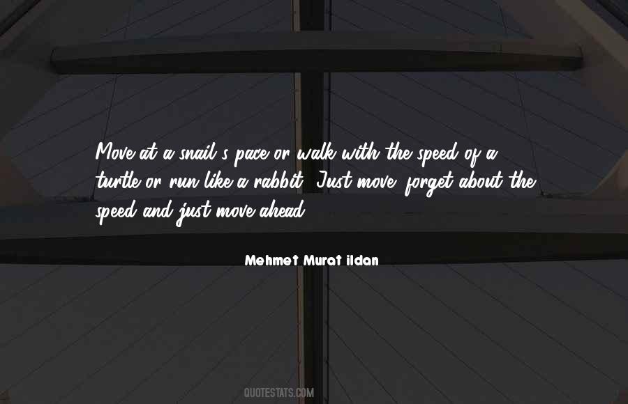 Forget About It And Move On Quotes #1543430