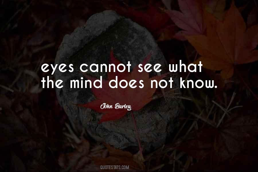 Eyes Cannot See Quotes #1619141