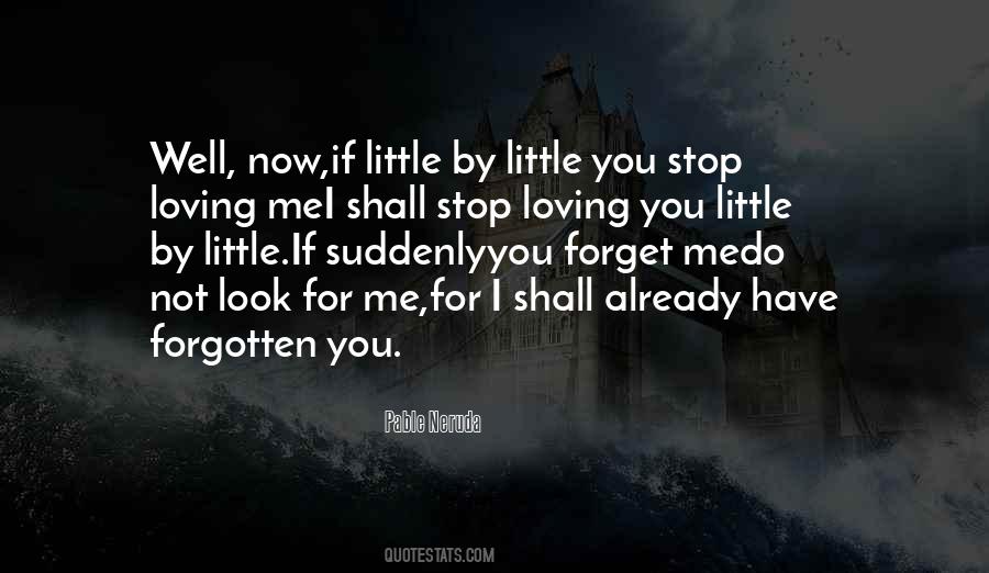 Forget Me Not Love Quotes #901189 Forget Me Not Love Quotes #901189