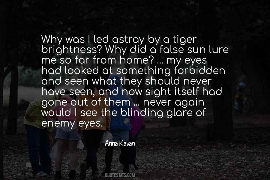 See The Sun Again Quotes #1736509