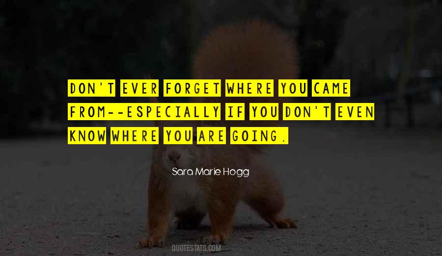 Forget Where You Came From Quotes #1125519