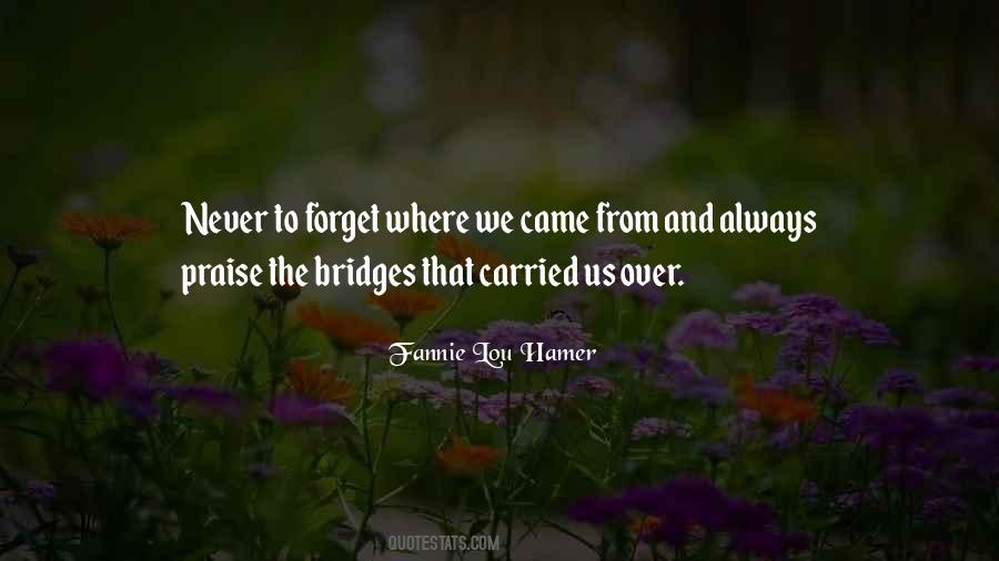 Forget Where You Came From Quotes #220718