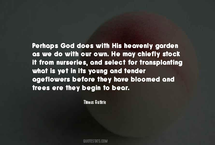 Flower Bloomed Quotes #1814414