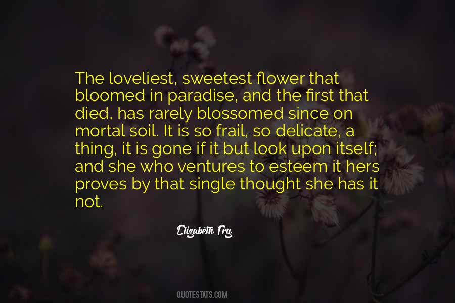 Flower Bloomed Quotes #456339