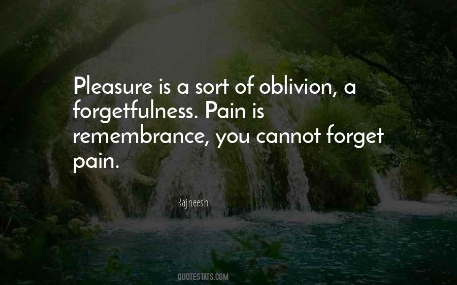 Forget Your Pain Quotes #417691