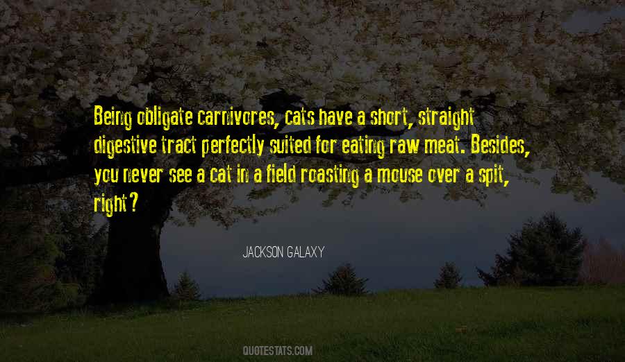 Cat Eating Quotes #688004