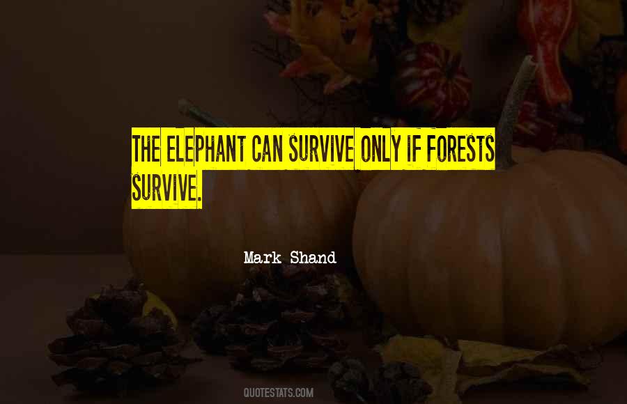 The Elephant Quotes #1245153