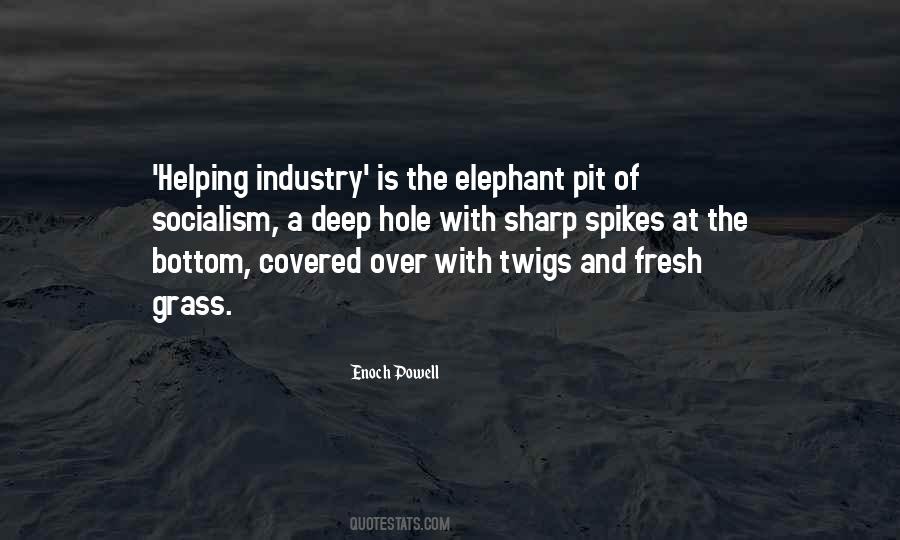 The Elephant Quotes #621256