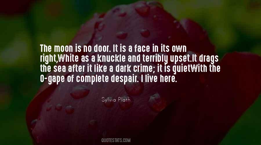 Dark Of The Moon Quotes #1365889