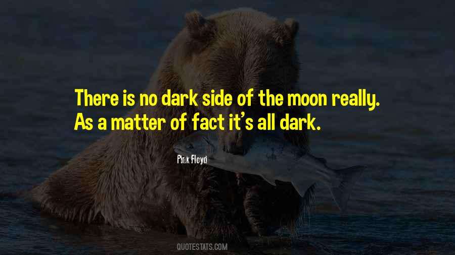 Dark Of The Moon Quotes #156828