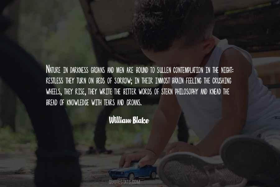 Night Philosophy Quotes #998558