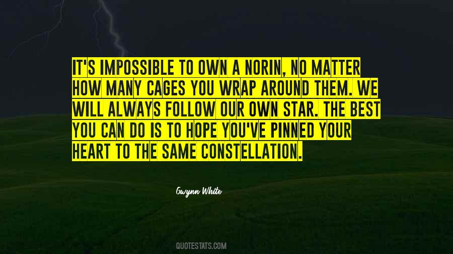 No Matter Love Quotes #788219