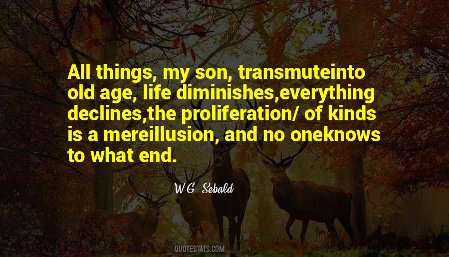 My Son My Everything Quotes #985383