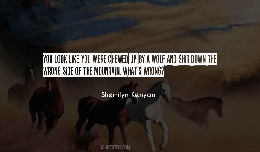 The Other Side Of The Mountain Quotes #1578939