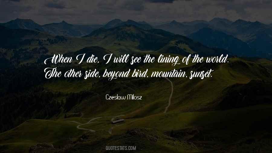 The Other Side Of The Mountain Quotes #412377