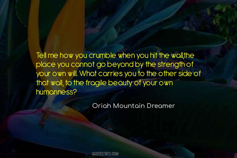 The Other Side Of The Mountain Quotes #771078