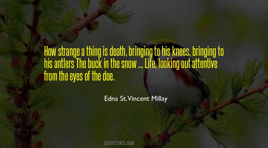 Looking Death In The Eye Quotes #1177053