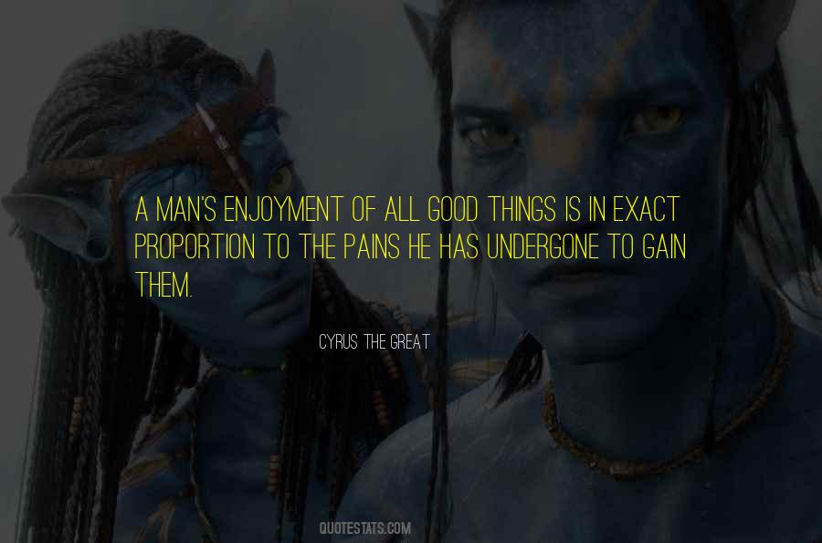 Gain Pain Quotes #918674
