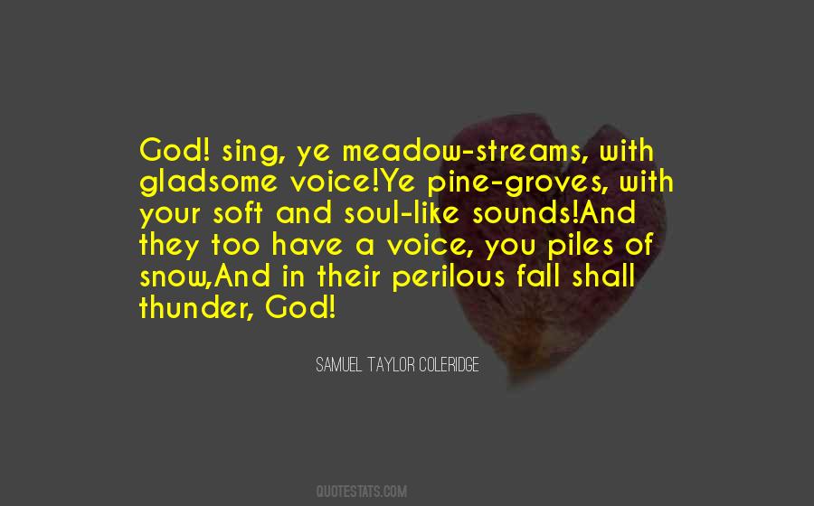 Soul Voice Quotes #184307