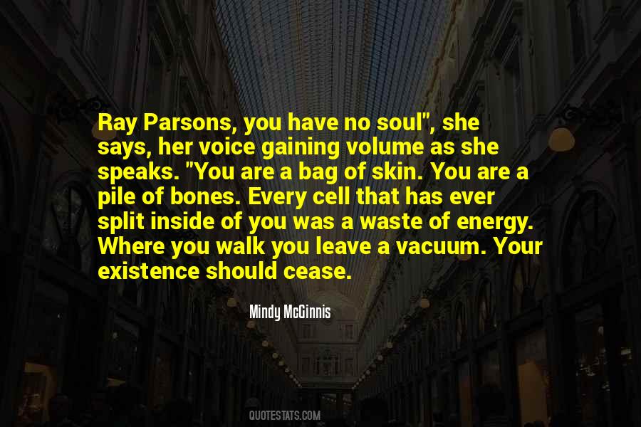 Soul Voice Quotes #622561