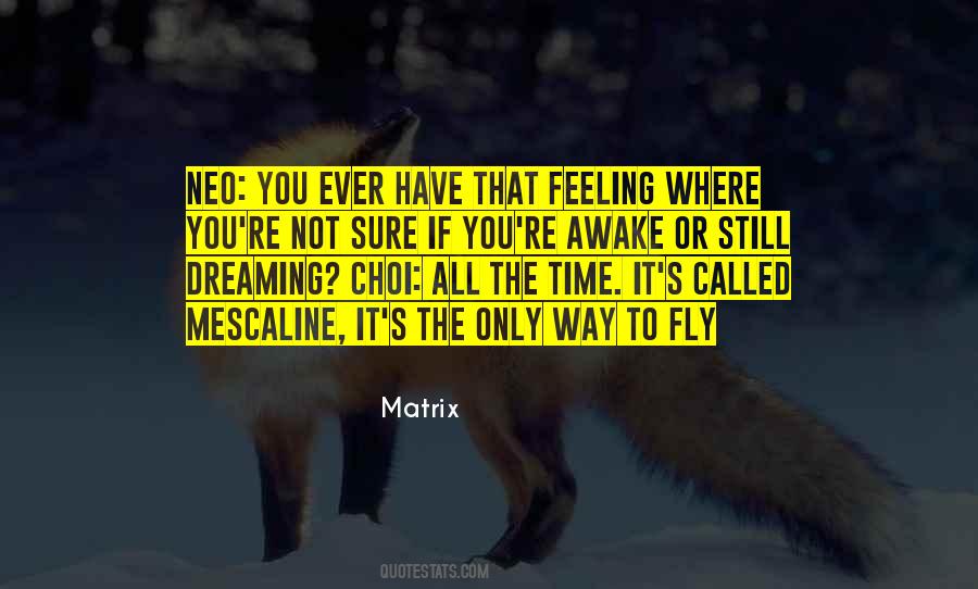 Ever Have That Feeling Quotes #176537