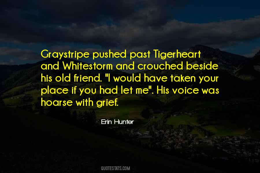 You Pushed Me Quotes #1289581