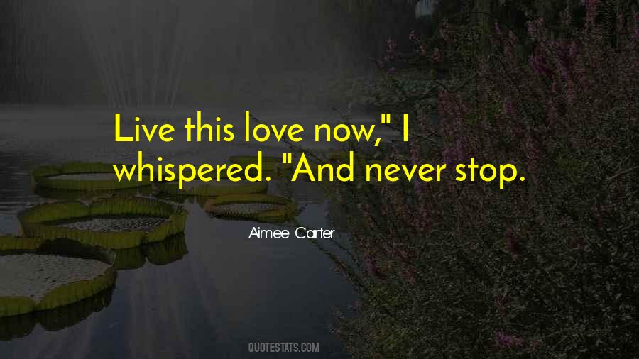 Love Now Quotes #502039