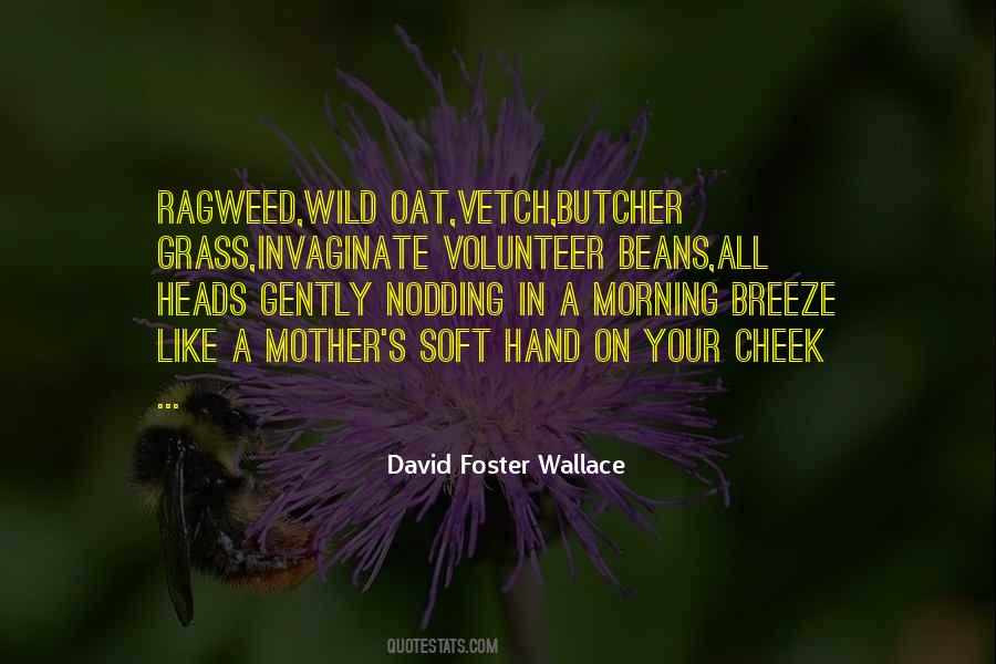 Foster Wallace Quotes #546
