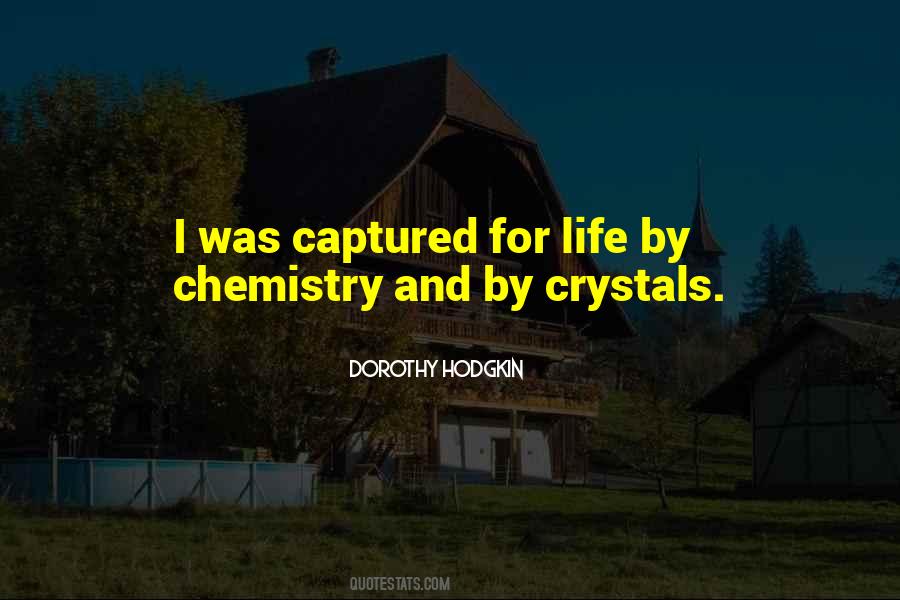 Life Is Chemistry Quotes #1062691