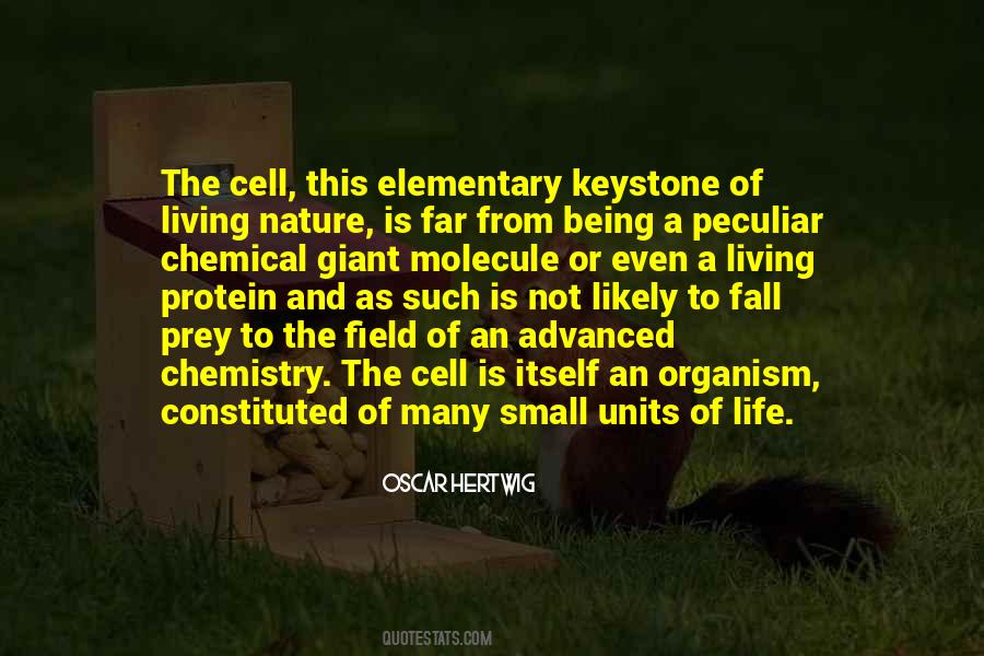 Life Is Chemistry Quotes #494007