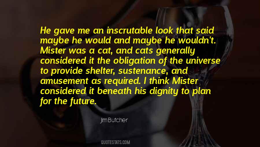 Mister Mister Quotes #1455550