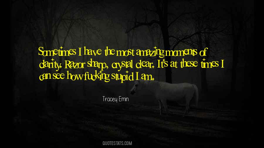 Amazing Times Quotes #1000306