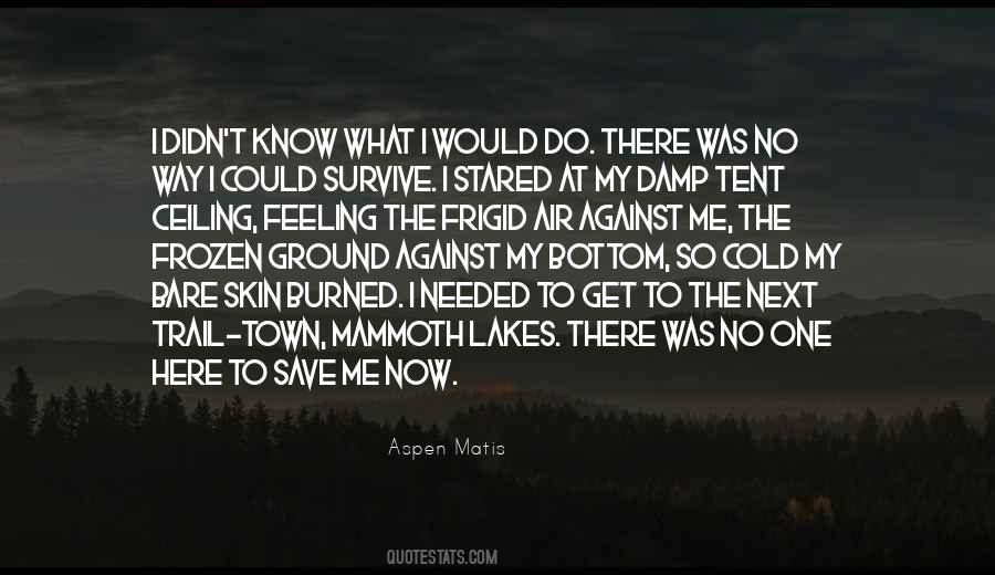 Feeling The Air Quotes #1108651