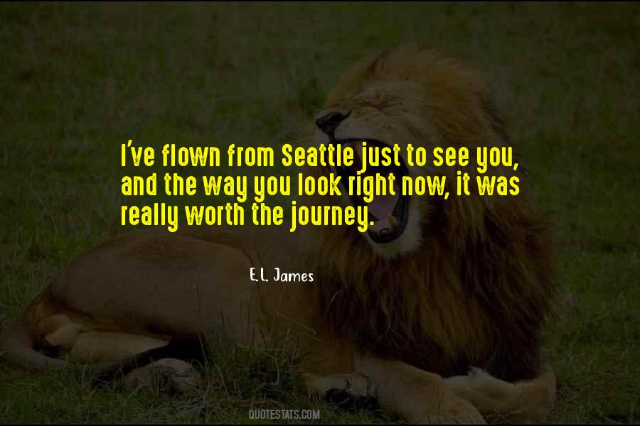 Worth The Journey Quotes #1187801