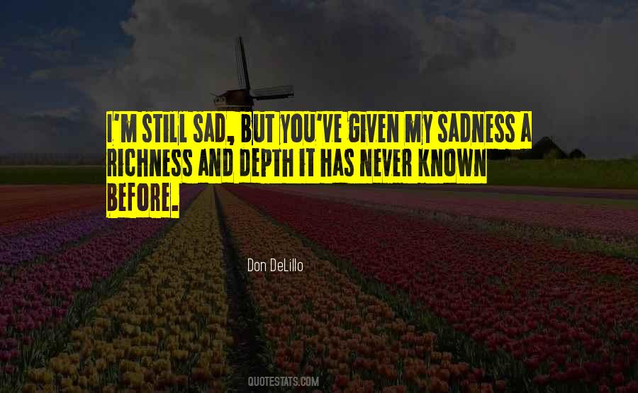 Never Let The Sadness Of Your Past Quotes #967147