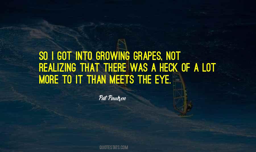 More Than What Meets The Eye Quotes #466489