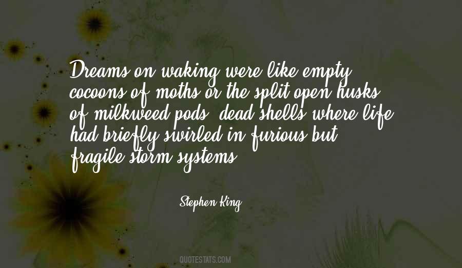 Fragile Dreams Quotes #710280