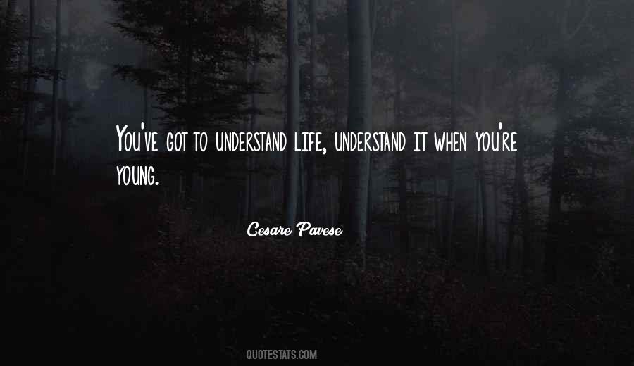 To Understand Life Quotes #692769